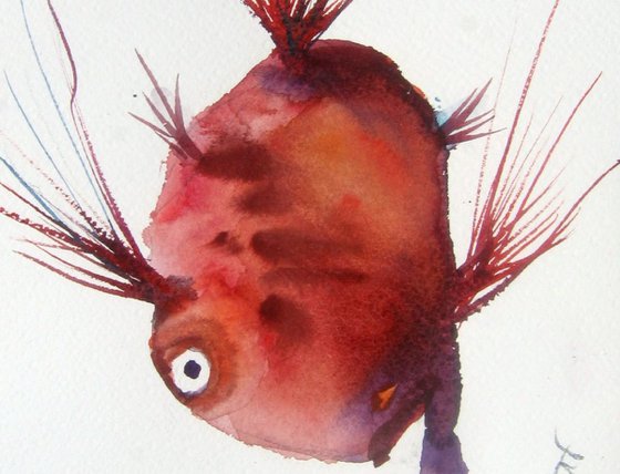 fish ( Carmin Umbra )