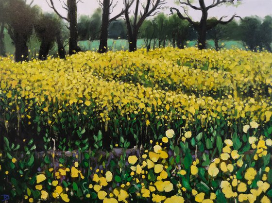 A walk through yellow fields