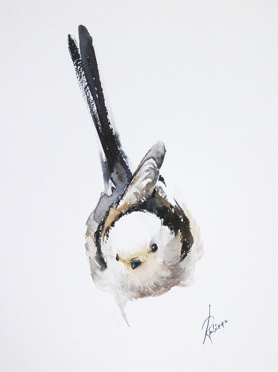 Animal Watercolour By Andrzej Rabiega, 9 X 12, Long-Tailed Tit 3, Original Artwork