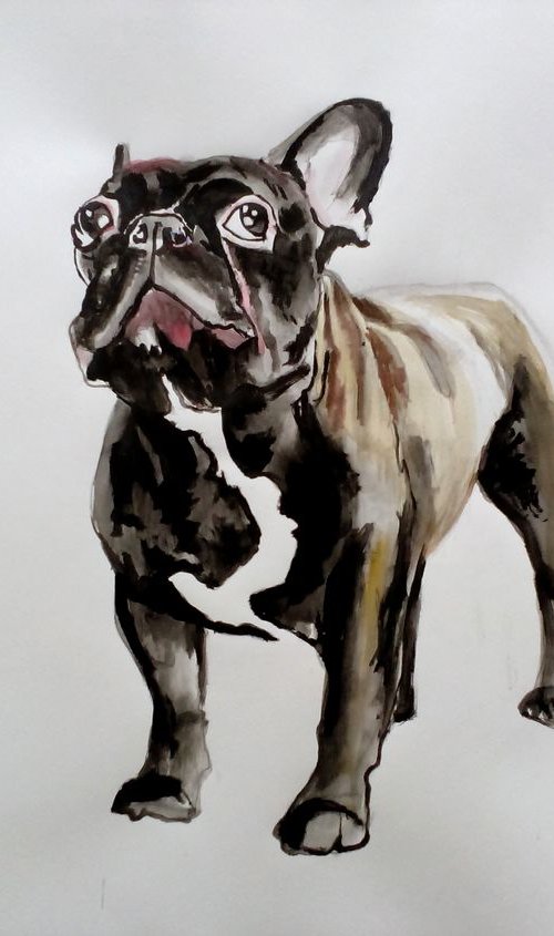 Bulldog by Soso Kumsiashvili