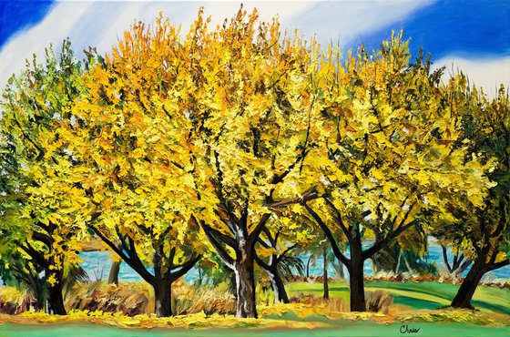 Golden Arches at Lake Nokomis II