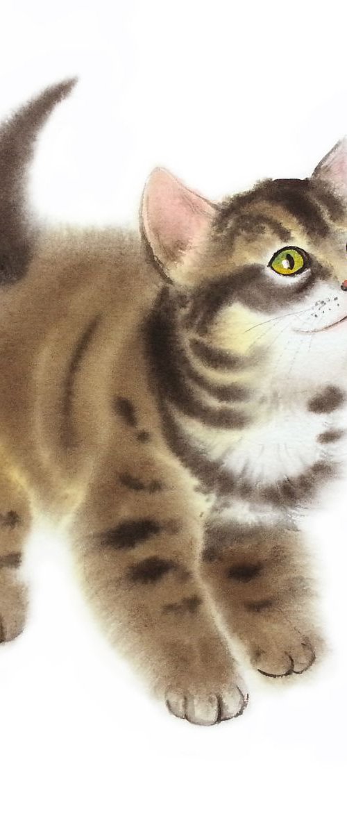Fluffy Tabby Kitten #2 - Tabby by Olga Beliaeva Watercolour