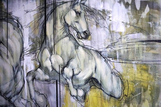 Carousel of Rain and Sun. Horses