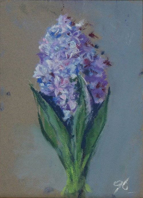 Hyacinths by Gennadi Belousov