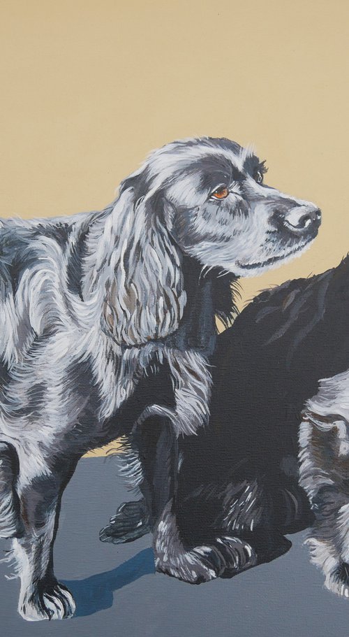 Black Cocker Spaniels Jet & Ruby by Sally Burrow