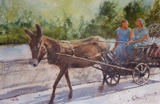 Scena d'epoca / vintage scene - carro trainato da un mulo / cart pulled by a mule