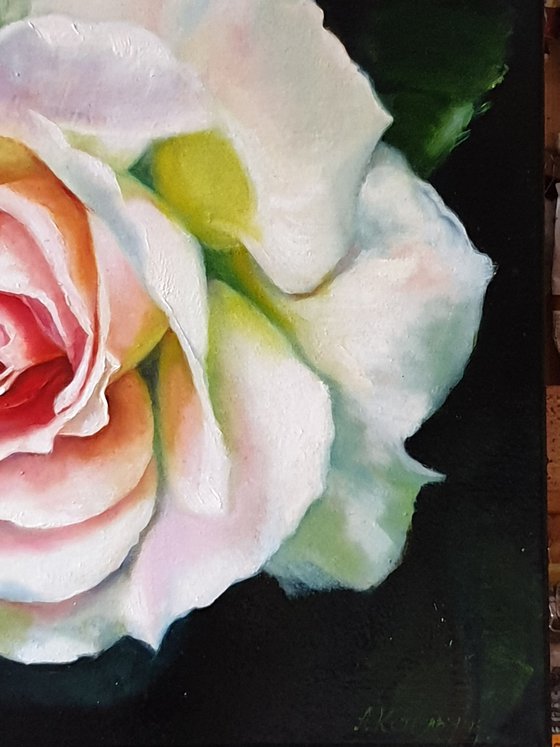 "Young beauty"  rose flower macro  original painting  GIFT (2018)