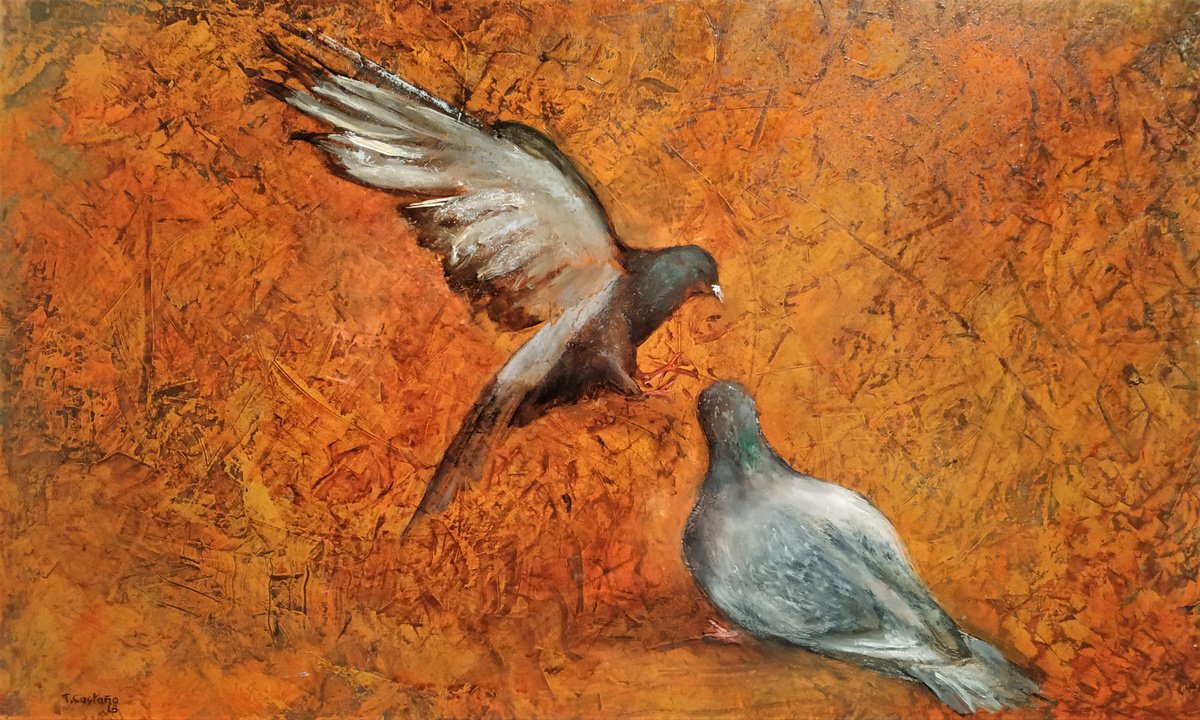 Pigeons by TOMAS CASTAA�O