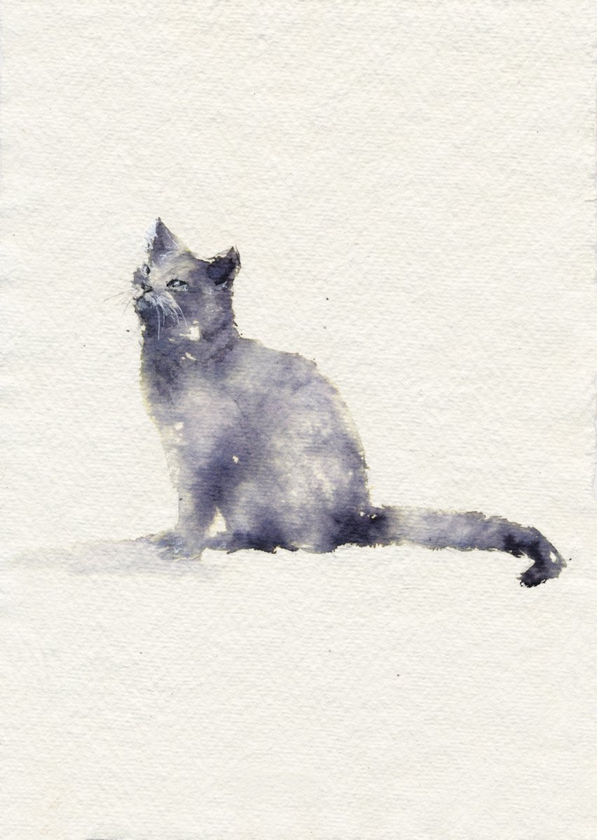 Expressive Animal Watercolour By Doriana Popa, 6 X 8, Cat_Ii, Original Artwork