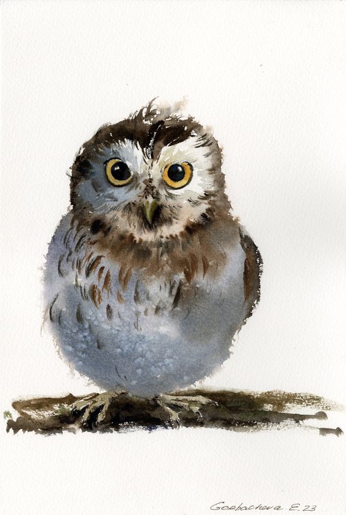 Little owl on a branch #17 by Eugenia Gorbacheva