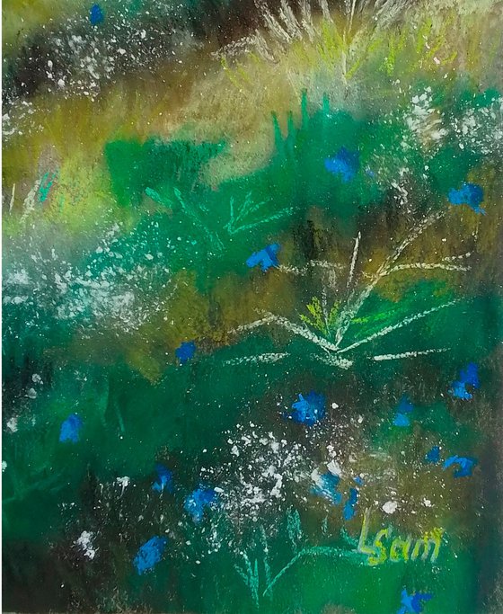 Morning light meadow