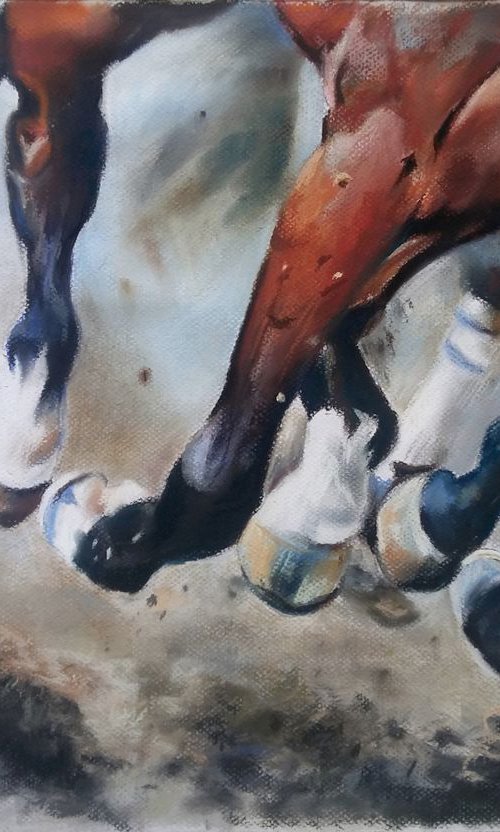 Gallop by Magdalena Palega