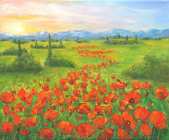 Poppy field in Tuscany