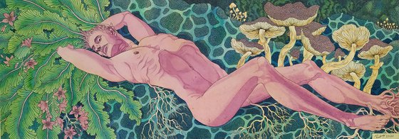 Mandragora
