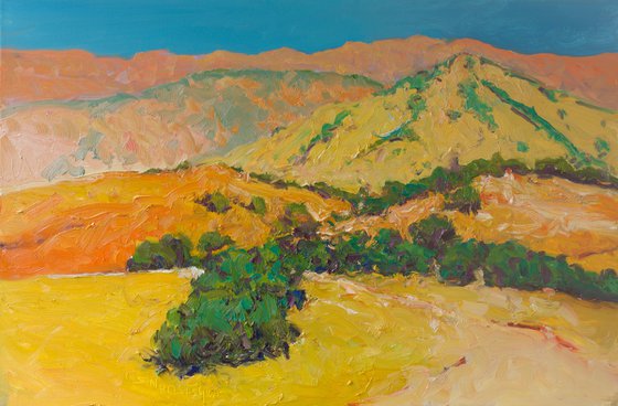 Summer. Mountains in Calfiornia