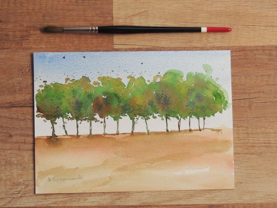 Late summer landscape - row of trees