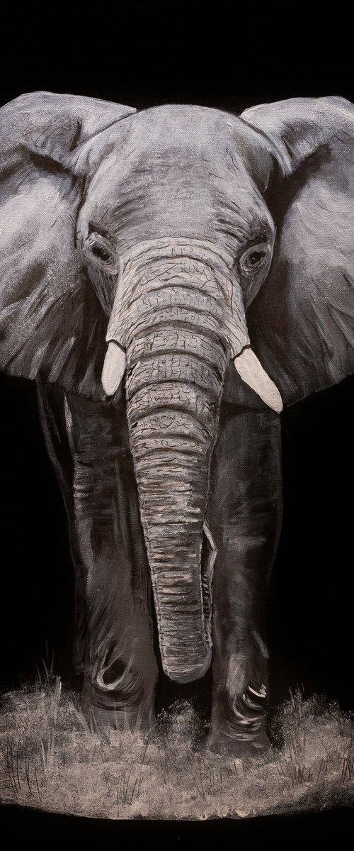 Elephant by Margarita Telianidis