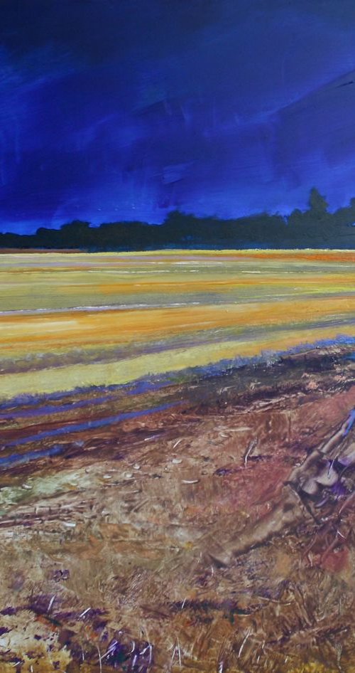 Solaris June Fields by Simon Jones