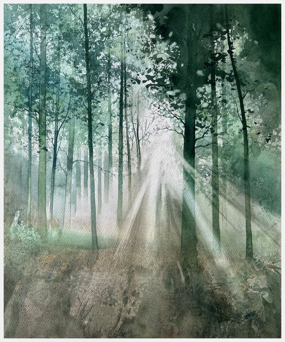 Morning forest