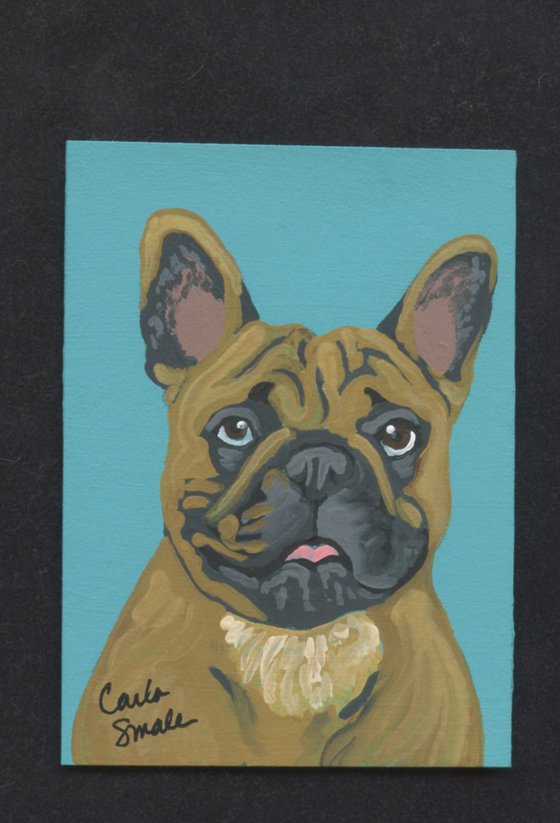French Bulldog