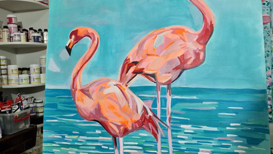 Flamingos