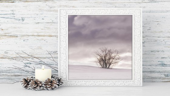 White Italian Scape #13