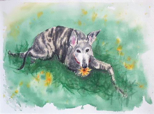 Greyhound in meadow... /  ORIGINAL PAINTING by Salana Art Gallery
