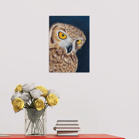 Owl