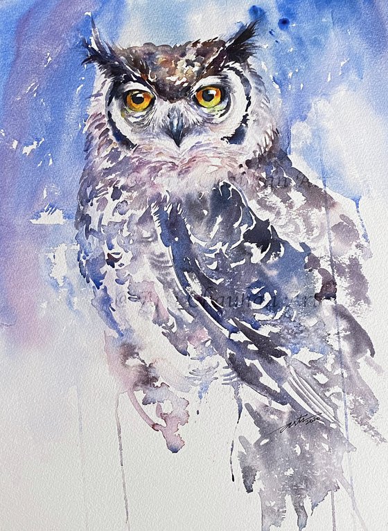 Astrid_ Eagle Owl
