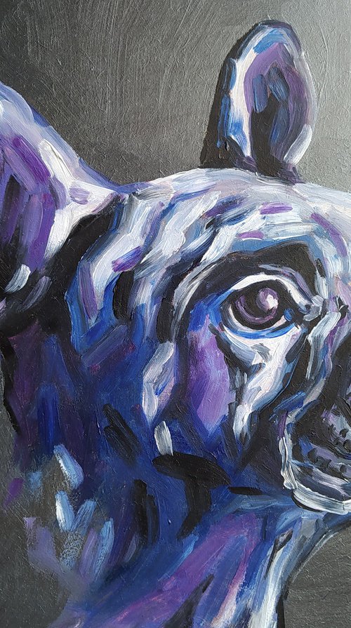 Bulldog - dog, animals, oil painting, french bulldog oil painting, pet, pet oil painting, gift, animals art by Anastasia Kozorez