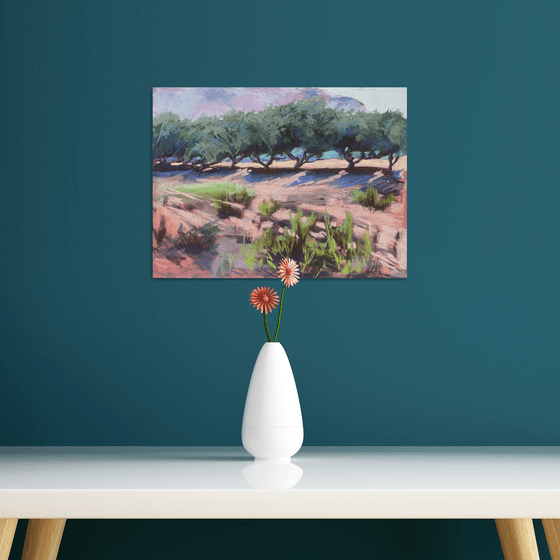 Olive trees