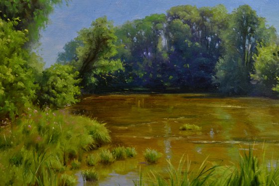 Old pond