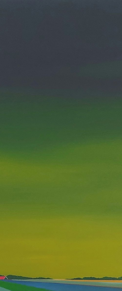 Colourful fields, golden sky (2) by Nelly van Nieuwenhuijzen