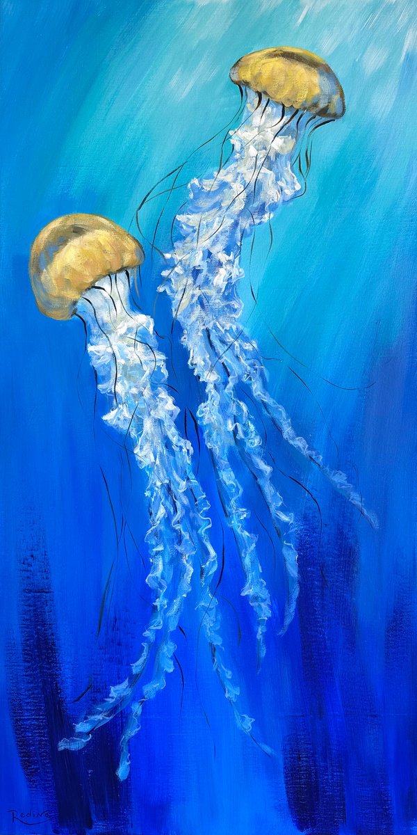 Jellyfish (The Pacific sea nettle) by Irina Redine