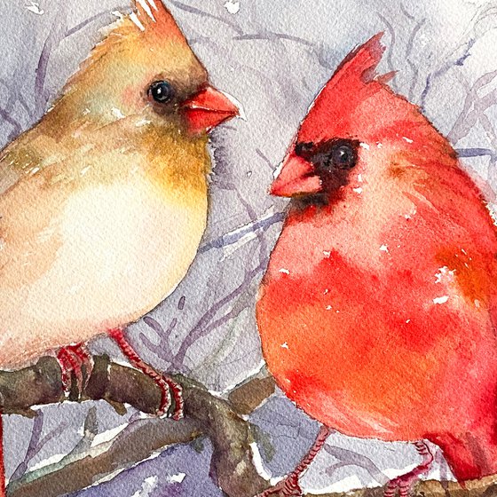 Winter Cardinals