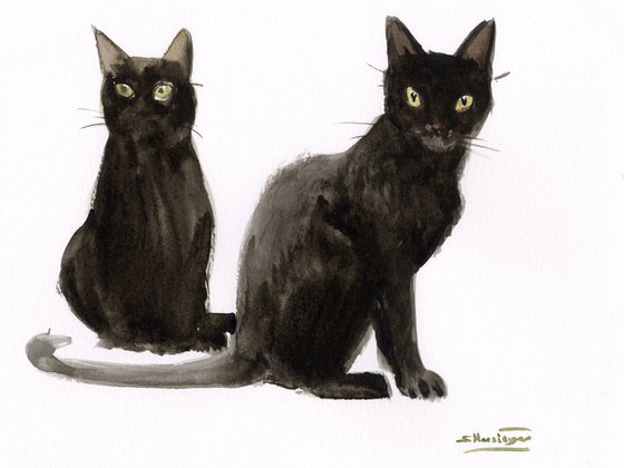 Two Black cats