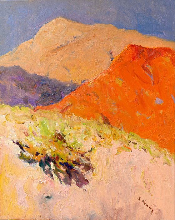 Morning. Desert