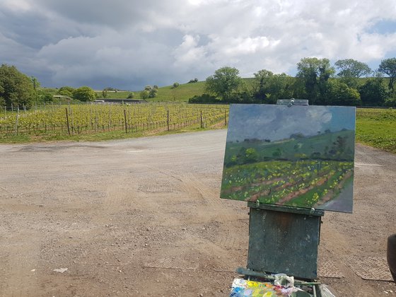 Vineyard in West Sussex.