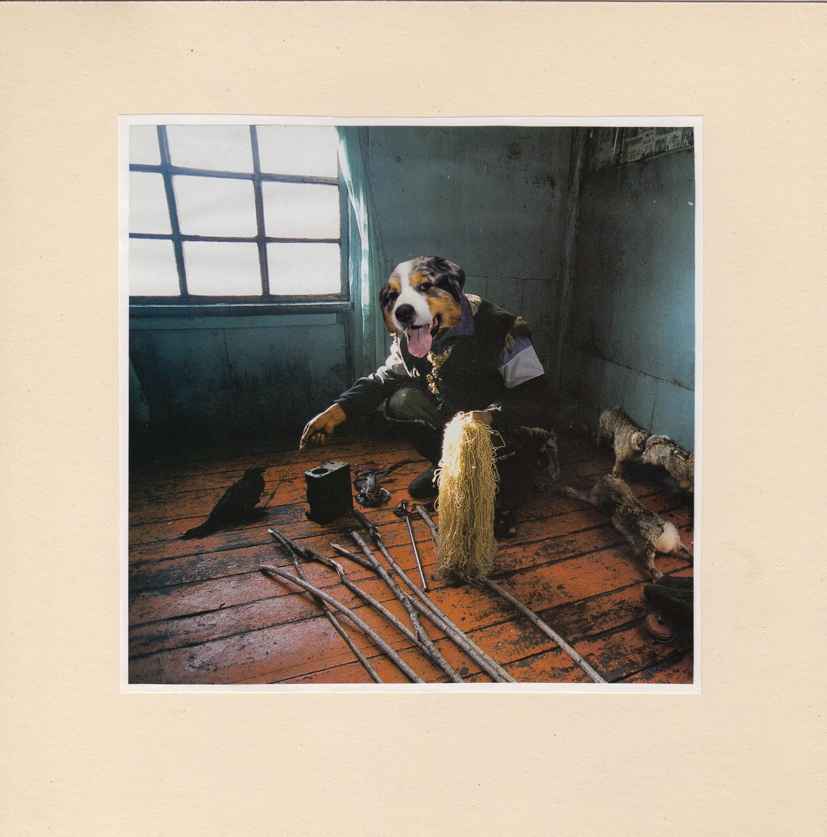 Photorealistic Animal Collage By Jon Garbet, 10 X 10, Chilling, Original Artwork