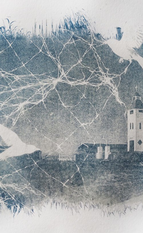 Entangled Landscapes / cyanotype print by Delnara El