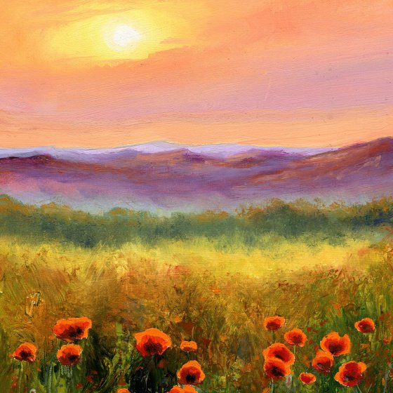 'Sunset poppies'