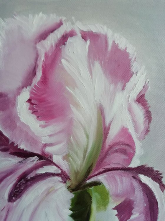 Iris, original flower art, canvas oil painting, gift idea, wall decor for home