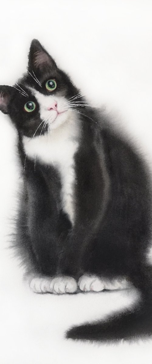 Curious Tuxedo Cat Black and White by Olga Beliaeva Watercolour