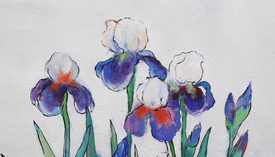 The Garden of Iris