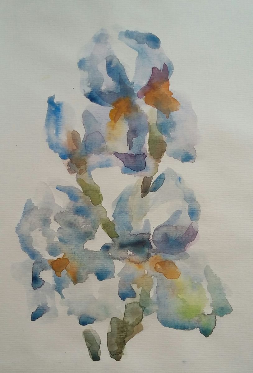 Impressionistic Botanical Drawing By Elena Klyan, 7 X 9, Blue Iris, Original Artwork