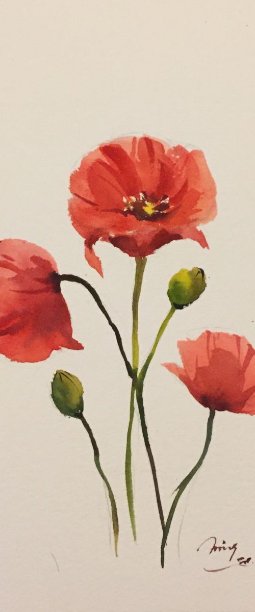 Poppies 2 by Jing Chen