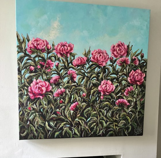 Peonies