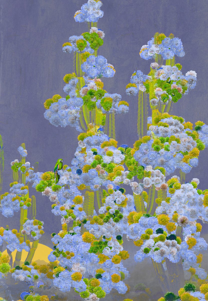 Surrealistic Botanical Photograph By Nadia Attura, 20 X 28", Cactus Trees, Original Artwork