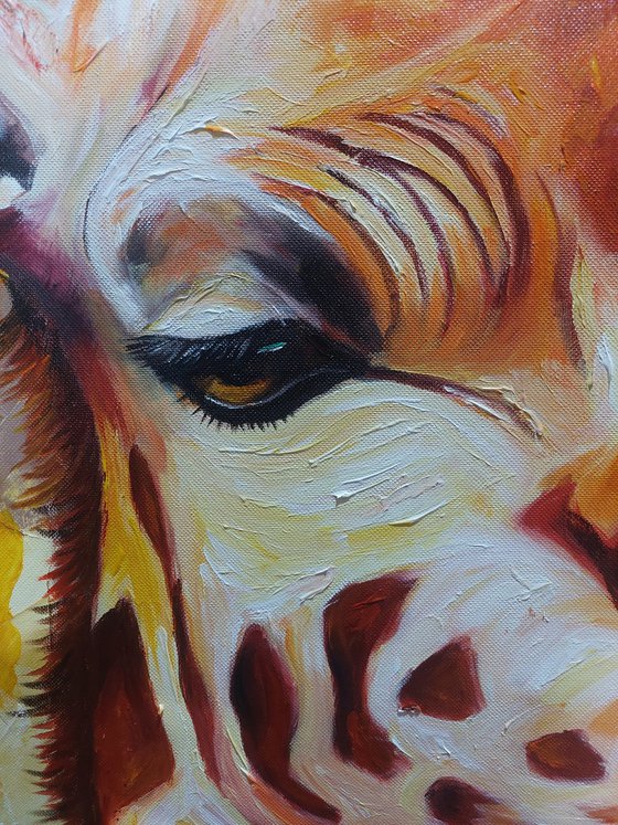WILD GRACE
