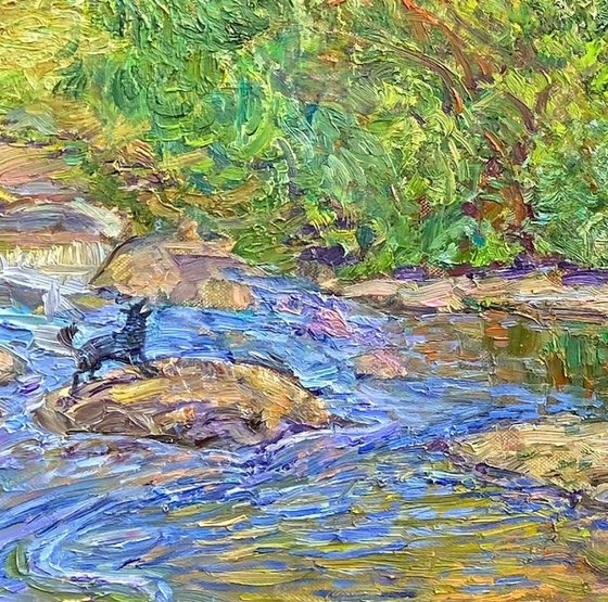 Dog Playing in the River